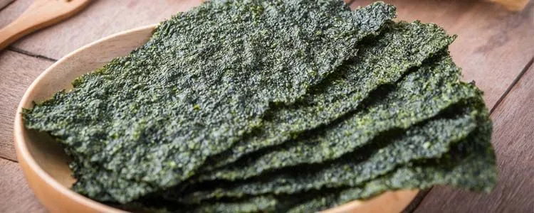 Edible nori algae