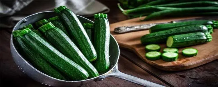 Benefits and properties of zucchini