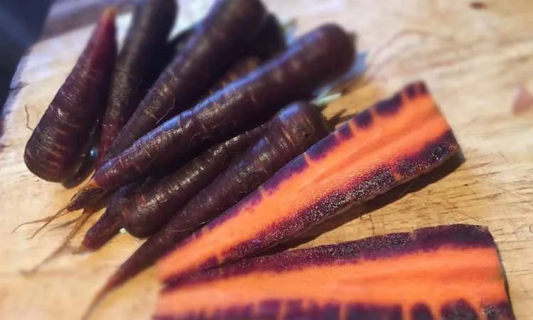 Benefits of purple carrots