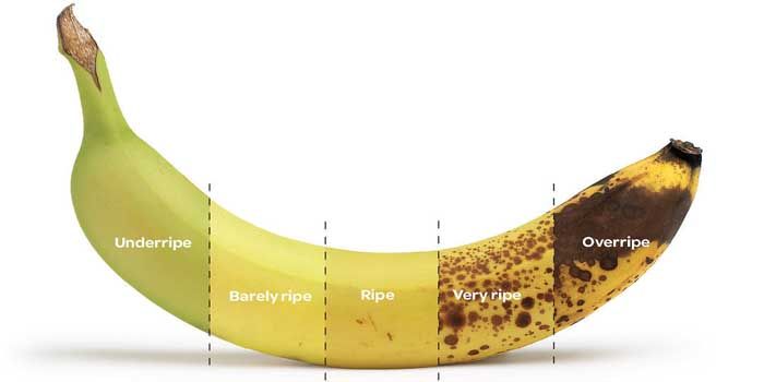 Characteristics and properties of bananas