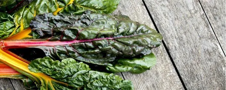 Consume red chard benefits