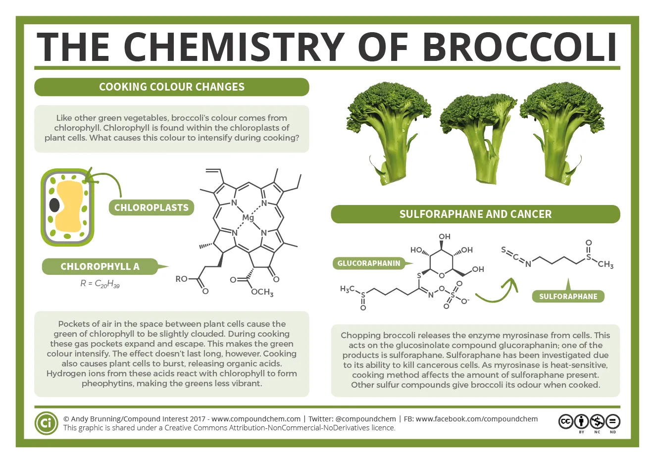The chemistry of broccoli