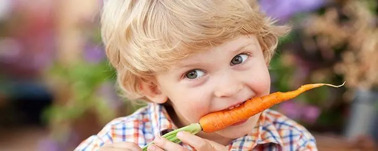 Properties of carrot vegetable