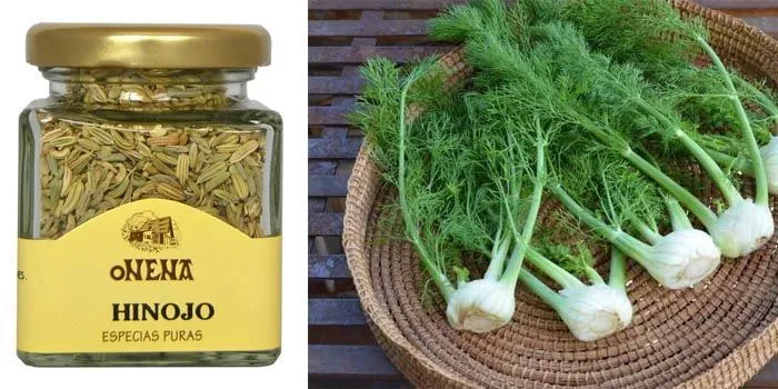 Properties of fennel and gastronomic uses