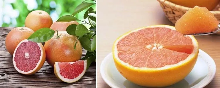 Properties of grapefruit for health