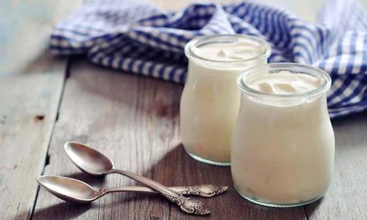 Prebiotic yogurts