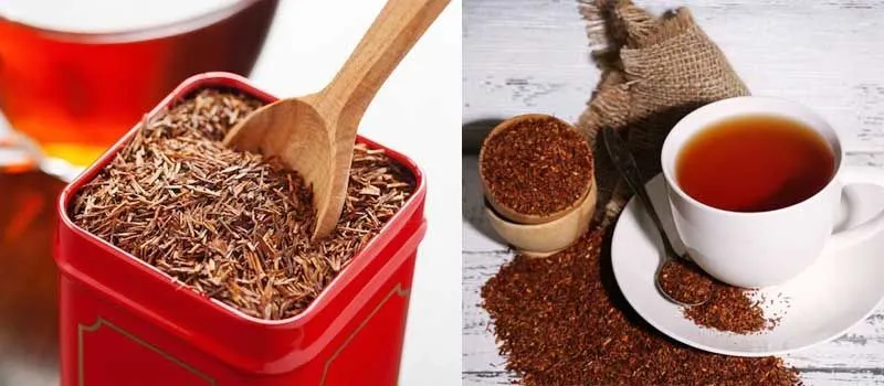 properties and potential of rooibos tea