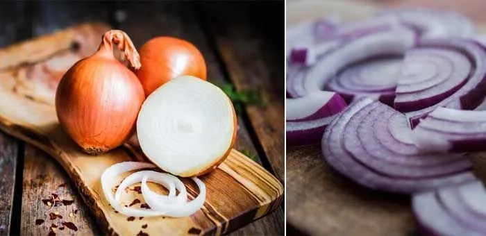 quercetin and properties of onion