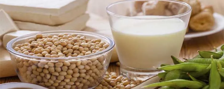 Foods that cause soy allergy