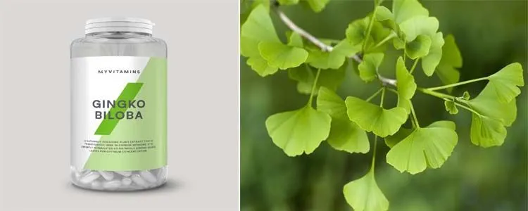 How to use the properties of Ginkgo biloba