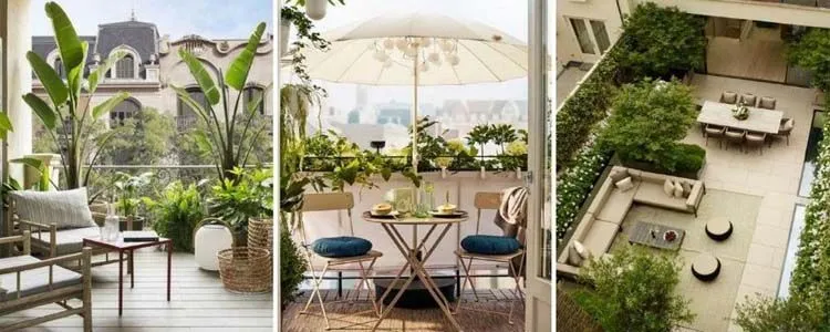 Plants to enjoy your terrace