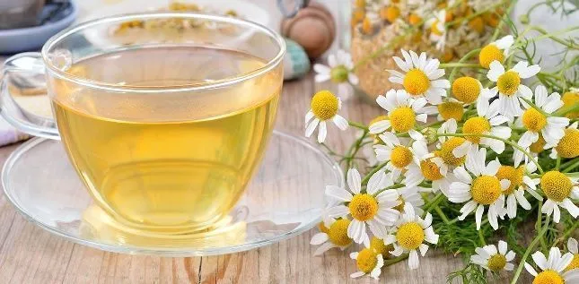 Chamomile's potential against cholesterol