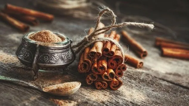 benefits of cinnamon for the body