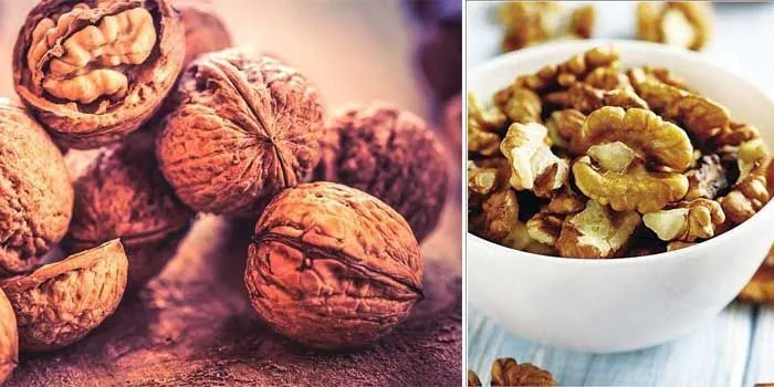 benefits and properties of nuts