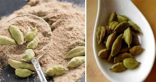 benefits and properties of cardamom