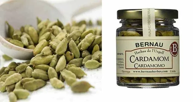 composition and properties of cardamom