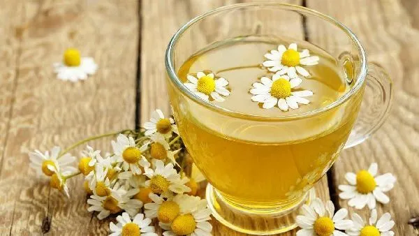 Chamomile infusion as a substitute for ibuprofen or gelocatil