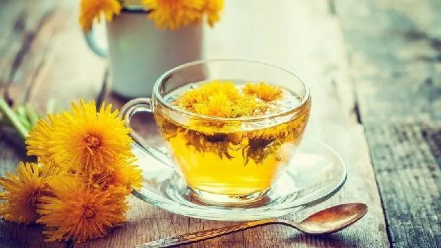 properties of dandelion in infusion or tea