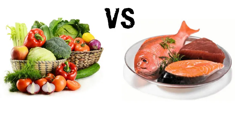 protein animal vs vegetal protein