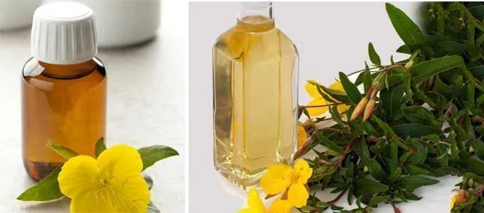 results and properties of evening primrose oil
