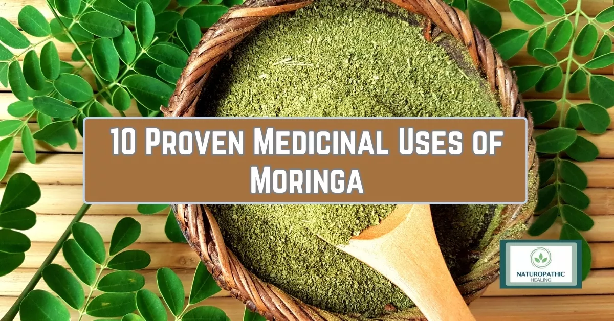 10 proven medicinal uses of moringa