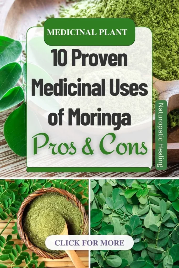 moringa benefits