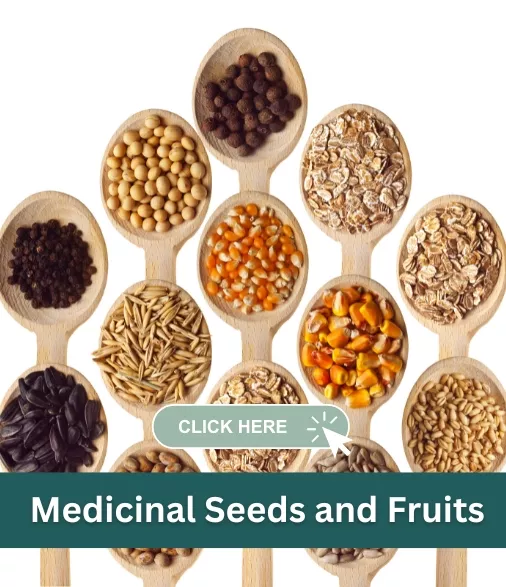 medicinal seeds