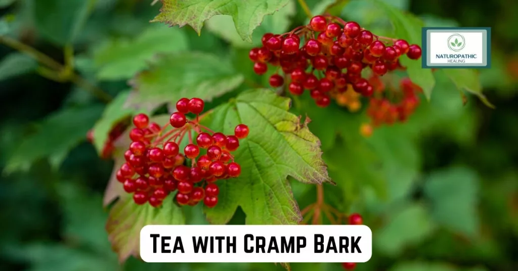 tea with cramp bark for menstrual cramps
