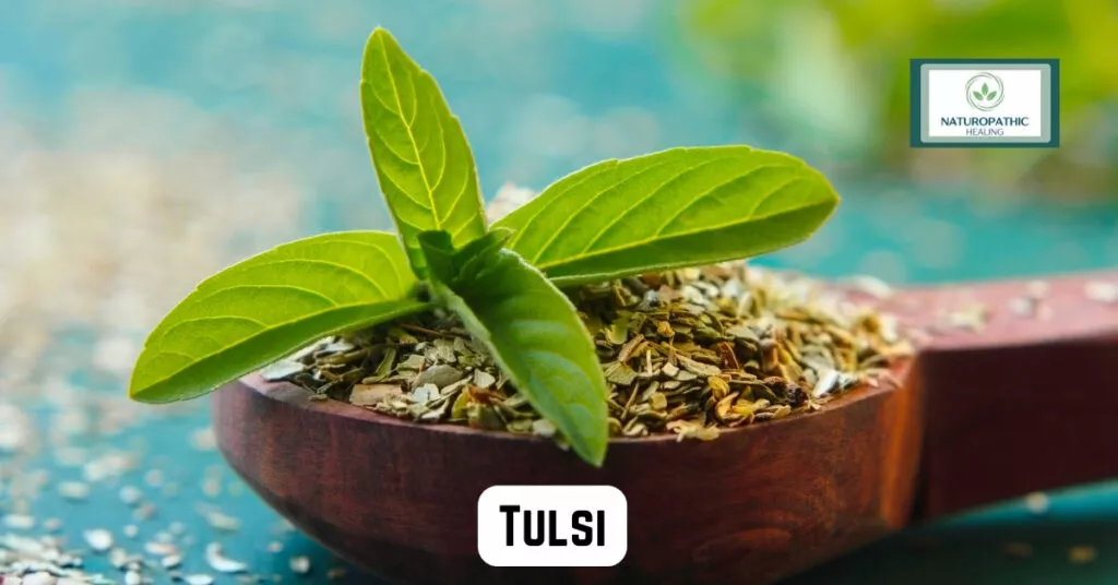 tulsi for balancing hormones