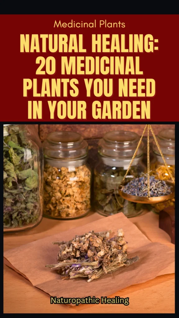 medicinal plants and their uses