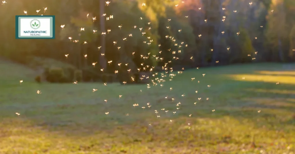 DIY mosquito repellent