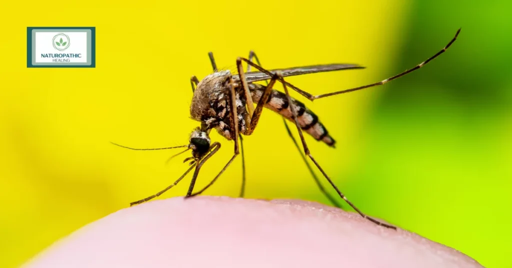 DIY mosquito repellent