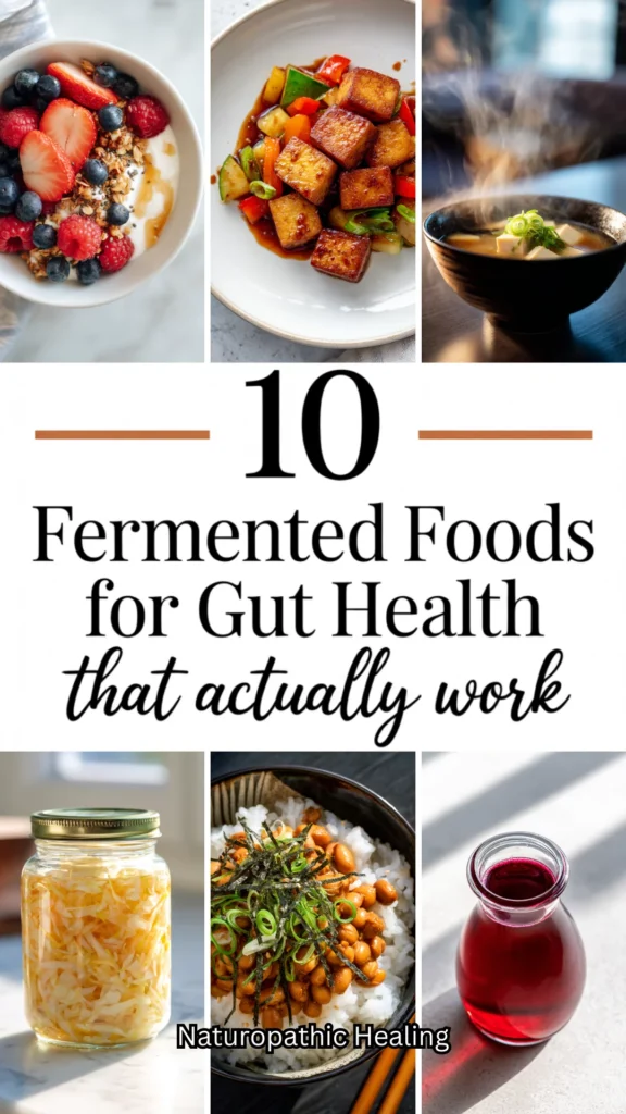 fermented foods for gut health
